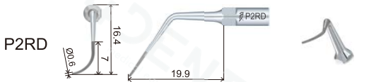 P2RDa.png