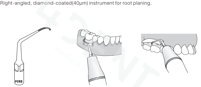 P2RDb.png