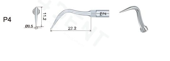 P4a.jpg