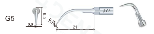 G5a.png