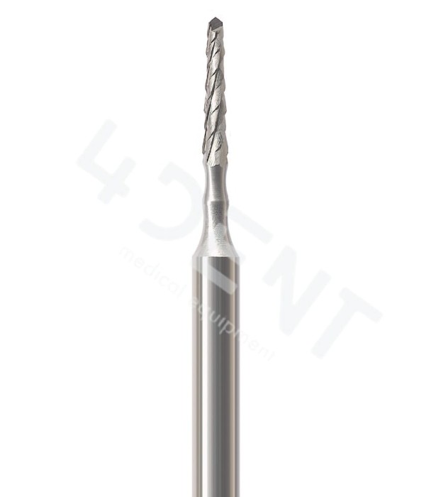 RF167.jpg