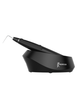 Plugger do wypełniania kanałów ciekłą gutaperką PLUGGER Fi-P Woodpecker