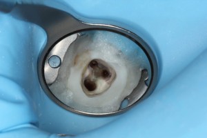 cec53848d106f65465b03e9342f122ee